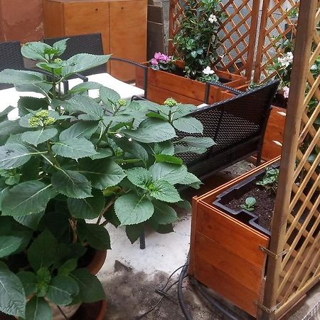 Apartament San Giorgio Degli Schiavoni Wenecja Zewnętrze zdjęcie